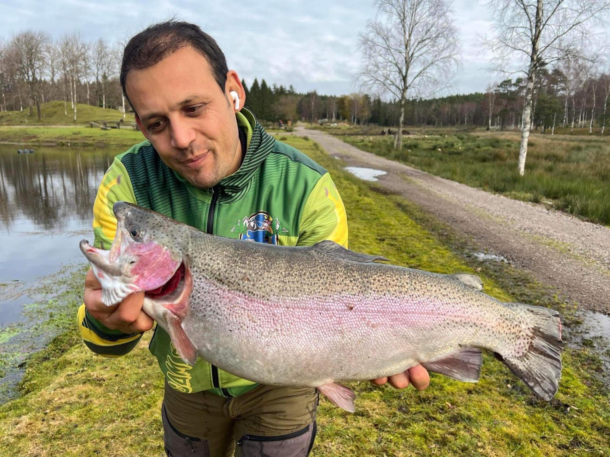 Stuga - Ulvereds Hjorthaegn Laholm Exteriér fotografie